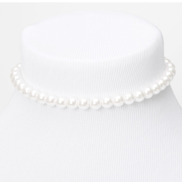 Fashion Nova Jewelry - Pearl choker necklace 🌼🐼🐚